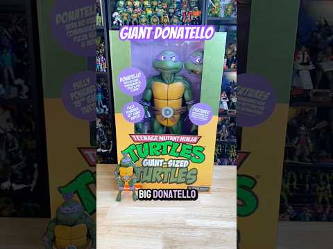 Big brain 🧠🐢