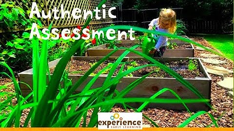 Authentic Assessment