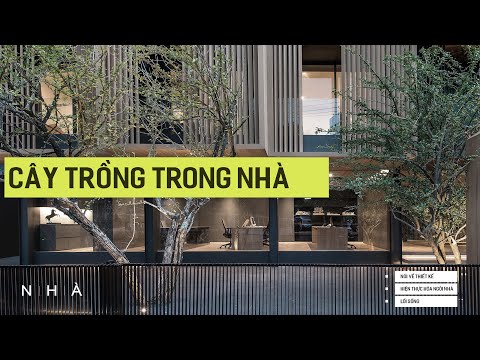 Cây trồng trong nhà | NHÀ