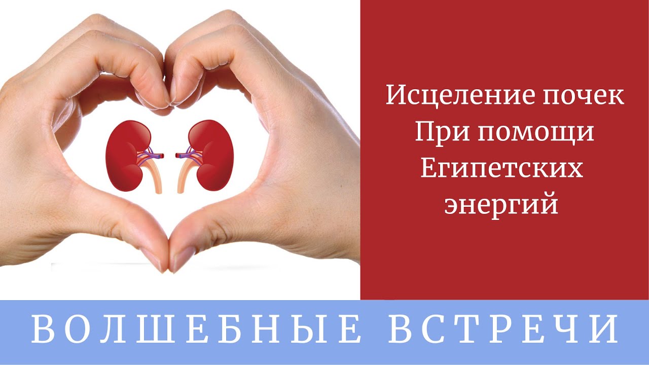 матрица гаряева исцеляющая почки. матрицы гаряева на исцеление почек. квантовое исцеление почек. квантовое исцеление почек. даосские упражнения для почек.
