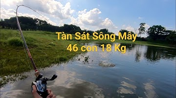 Câu cá lóc Hồ Sông Mây ,Trảng Bom - Đồng Nai.(Phần 1)