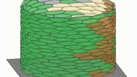 Monoclonal conversion in the colorectal crypt.