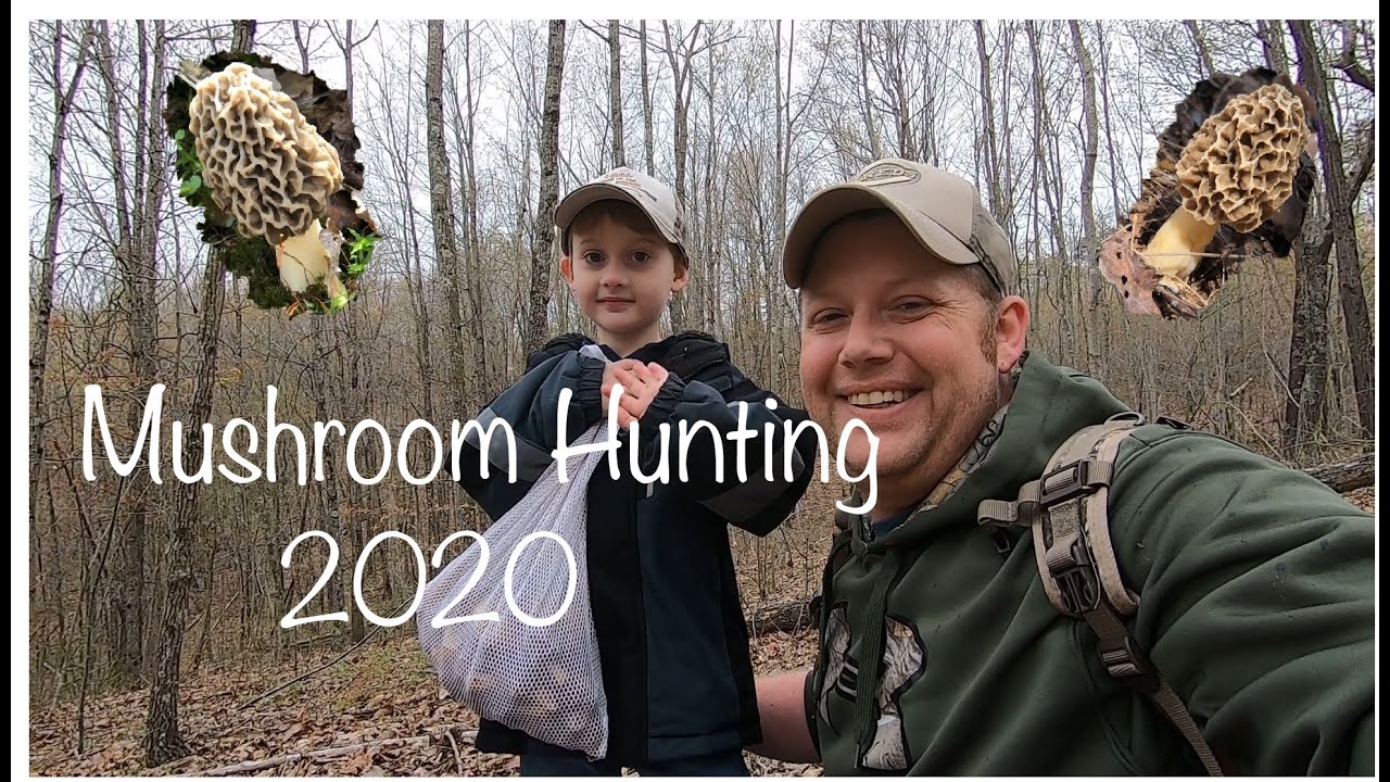 Morel Mushroom Hunting Southern Ohio 2020 YouTube morel-mushroom-hunting-southern-ohio-2020-youtube