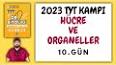 Hücre İçi Organeller ile ilgili video