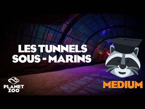 Vidéo: Le Mégaprojet De Staline D'un Tunnel Sous-marin Vers Sakhaline, Pourquoi N'a-t-il Pas été Achevé - Vue Alternative