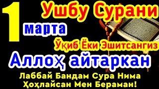 УШБУ СУРАНИ ХАР КУНИ УҚИНГ ЁКИ ЭШИТИНГ | НИМА СЎРАСАНГИЗ АЛЛОҲ БEРАДИ! МАНА ҚАЙСИ ВАҚТДА СЎРАШ!