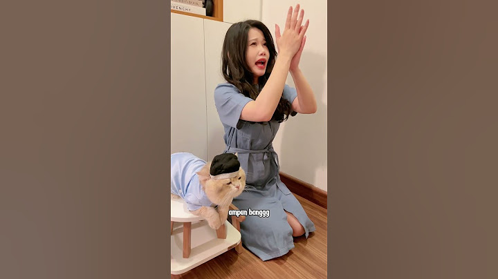 🙀: maling pas sahur woi?!#cat #kucingtiktok #kucing #catlover
