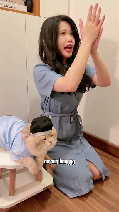 🙀: maling pas sahur woi?!#cat #kucingtiktok #kucing #catlover