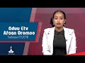 Oduu Afaan Oromoo Sadaasa 01 2018 6 00 Etv Ebc Etv Afaan Oromoo