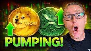 Dogecoin & Xrp Just Flipped Bullish What Happens Next?