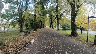 Picturesque Autumnal Walk
Trying to get photos of the boys isnt as easy of a job as it seems, it requires a lot of patience and a good chuck of luck! Go to instagram to check the photos we took! (link below)
Give us a thumbs up if you enjoyed the video and Subscribe if youre not already!
Mental health support, wether you need it personally or need information to help support someone else;
https://www.mind.org.uk/information-support/
Instagram - https://www.instagram.com/thatpugpablo/
Filmed on a Go Pro Hero 9 Black
Licence;
Intro/Outro Music;
Get Outside! - Jason Farnham: https://youtu.be/x1T6QFpd0J4 Picturesque Autumnal Walk