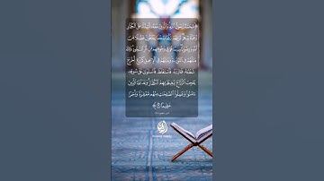 محمدٌ رسول الله | سورة الفتح #قرآن #tilawat #beautifulquran #tilawatilquran #اكسبلور