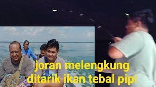 Download lagu Hir jatuh ditarik ikan ll MANCING Rumah rakit Mamat Tg Buai Hir jatuh ditarik ikan ll MANCING Rumah rakit Mamat Tg Buai