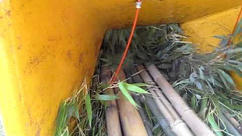 Bandit 95XP chipping Henon bamboo at Bamboo Valley, Albany, Oregon.wmv