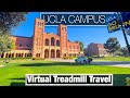 City Walks - UCLA Campus Tour - University of California Los Angeles Virtual Travel Treadmill Walk