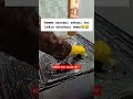 KIMDA SHU HOLAT QANDAY YOZIB KETAMIZ ❤️😂#music #top #trend #like #love #funny #shorts