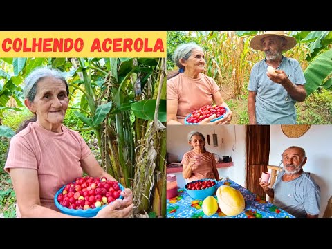 JUST LOOK AT HOW HAPPY MY MOM AND DAD ARE PICKING ACEROLA CHERRIES TOGETHER AT THE FARM FATHER AN...