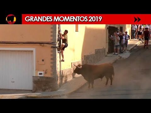 ? GRANDES MOMENTOS de 2019 · Tercera parte