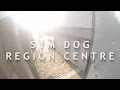 Sym dog  region centre  centre deducation canine