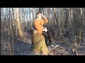 Спонтанное видео