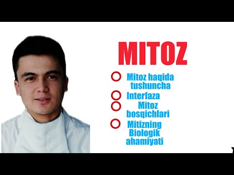 #Biologiya  #Mitoz #Kopayish           Mitoz ( Jinssiz ko&rsquo;payish ) | Митоз ( Жинссиз копайиш )