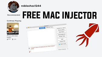 injector for hack roblox