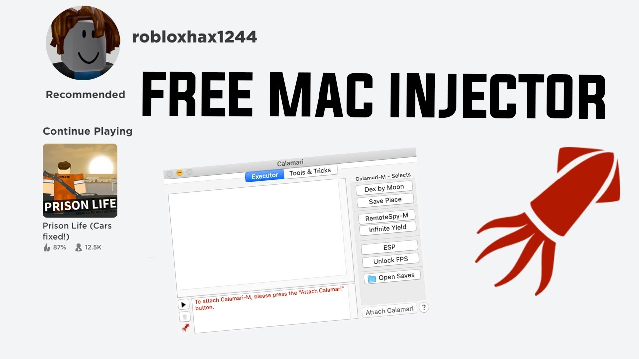 roblox mac script injector an executor