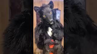 Im Having A Great Time