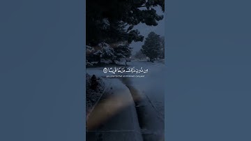 سورة الفتح بصوت الشیخ یاسر الدوسری| لَّقَدْ صَدَقَ اللَّهُ رَسُولَهُ الرُّؤْيَا بِالْحَقِّ ۖ