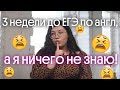 ДО ЕГЭ ПО АНГЛИЙСКОМУ ОСТАЛОСЬ 3 НЕДЕЛИ, А Я НИЧЕГО НЕ ЗНАЮ!! ЧТО ДЕЛАТЬ??