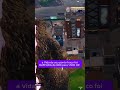 100% DO GODZILLA APARECER EM SUAS PARTIDAS NO FORTNITE