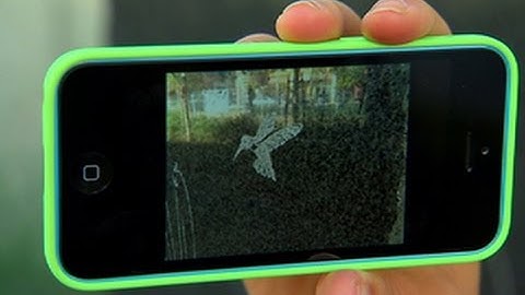 Always On - Road testing the iPhone 5C - Ep. 53