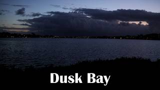 12 Hours of an Ambient Dusk Bay with Frogs Croaking | Stress Relief, Focus, Sleep or Study