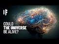 What If the Universe Is Conscious?