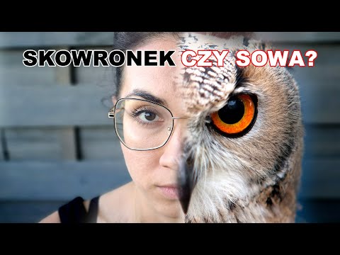 Wideo: Jak Zmienić Się Z Sowy W Skowronka