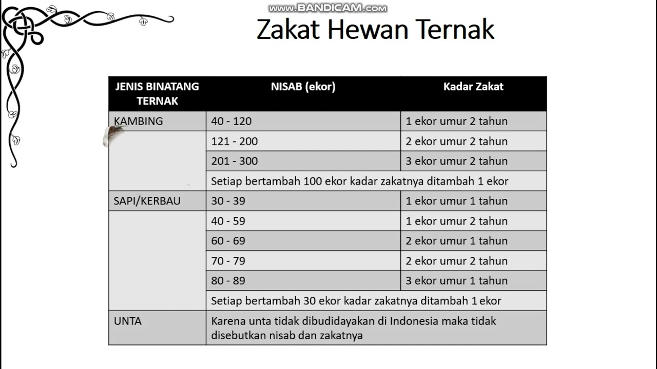 MENGHITUNG ZAKAT HEWAN TERNAK 