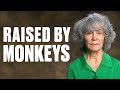 I Lived With Monkeys In The Jungle Minutes With Ladbiblestories I Lived With Monkeys In The Jungle Minutes With Ladbiblestories