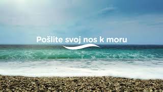 Pošlite Svoj Nos K Moru