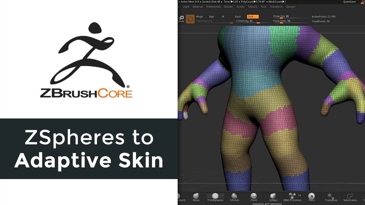 where is adaptive skin in zbrush