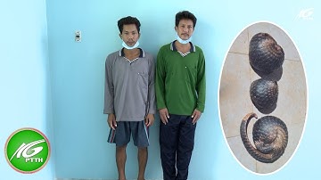 Bị tạm giam vì dắt chó vào rừng săn bắt động vật quý hiếm | THKG