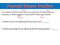 Genetics and Punnett Squares Quiz