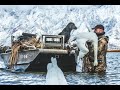 TUNDRA SWAN HUNT