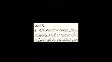 سورة المرسلات من ٤١ الى ٤٦