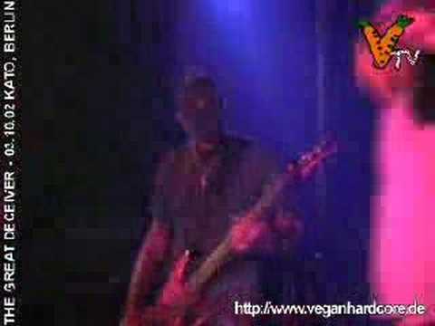 Cornered Rat Video