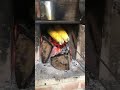 Coisas da roça