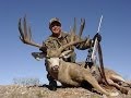 Hunting Sonora Mexico Desert Mule Deer 1 &quot;Chambered for the Wild&quot; with Jim Benton