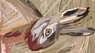 Hares on the Mountain (Animatic)