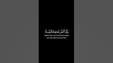 القارئ : #بلال دربالي  سـورة : #النمل الآية ١٩