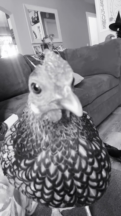 Download lagu September 26, 2025