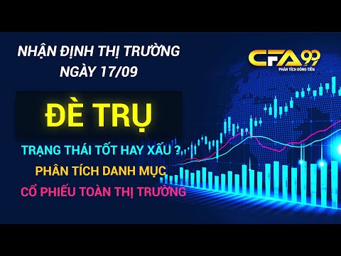 Nhận Định Chứng Khoán Ngày 17/9: Vnindex Tụt Giảm Thanh Khoản, Phân Tích Cổ Phiếu Toàn Thị Trường